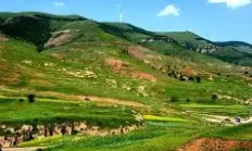  黑豹2剧情解析 -九游会官网app